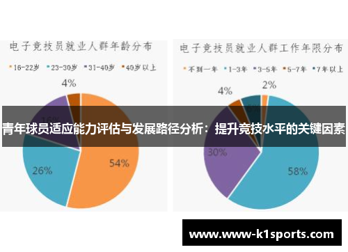 青年球员适应能力评估与发展路径分析：提升竞技水平的关键因素