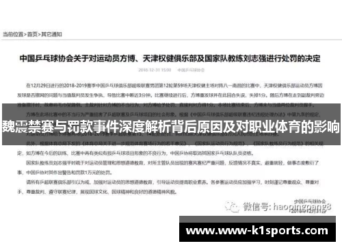 魏震禁赛与罚款事件深度解析背后原因及对职业体育的影响